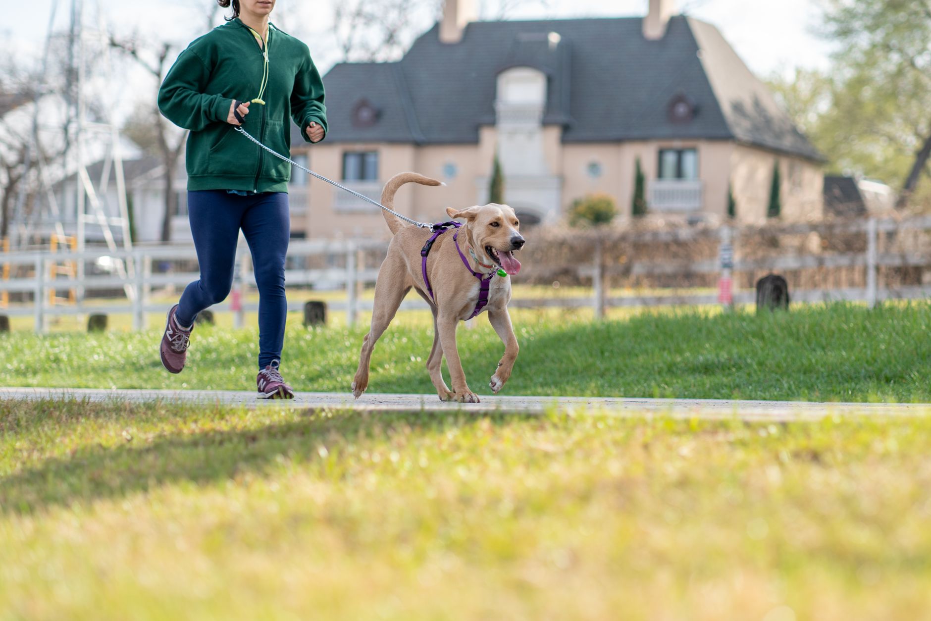 Bir kadın güneşli bir parkta köpeğiyle birlikte tempolu yürüyüş yapıyor