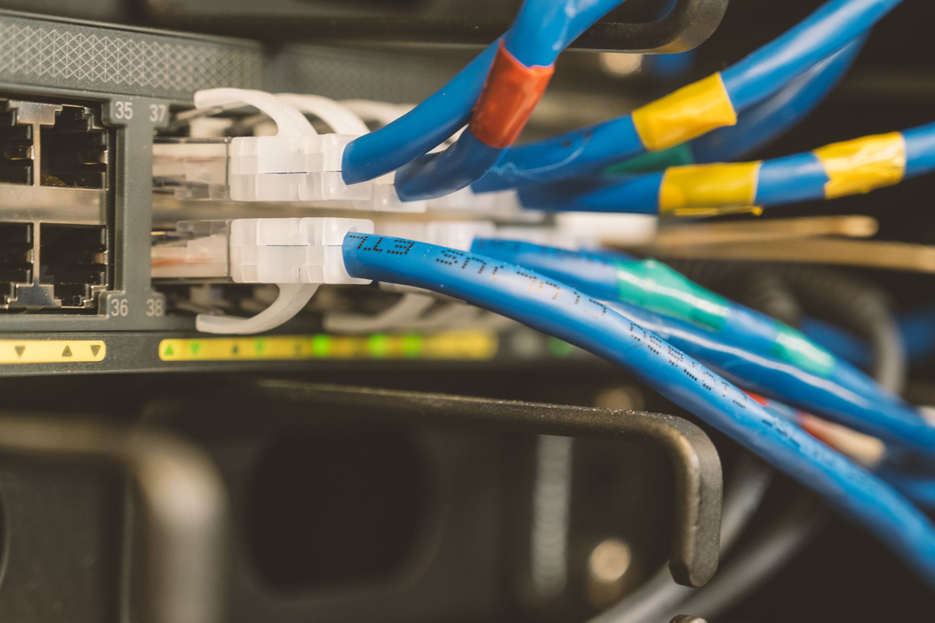 Bir ağ anahtarına takılmış mavi ethernet kablolarının yakın görüntüsü